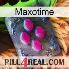 Maxotime 02
